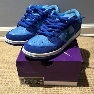 Nike SB dunks *WORN ONCE* bought off stock x